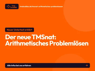 Arithmetisches Problemlösen im TMSnat: Der neue Untertest