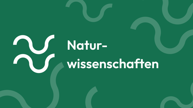 TMSnat Naturwissenschaften: Biologie, Chemie, Physik und Mathe mit Themen und Aufgabenanzahl im Überblick
