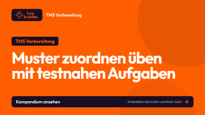 Muster zuordnen Buch von tmsbuddies mit testnahen TMS-Aufgaben