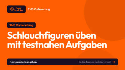Schlauchfiguren Buch von tmsbuddies mit testnahen TMS-Aufgaben