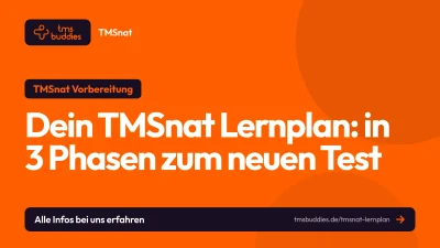 TMSnat Lernplan in drei Phasen: Wissen aufbauen, Strategien lernen, Simulationen schreiben