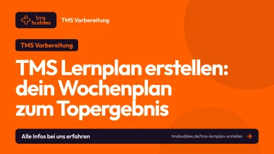 TMS Lernplan erstellen: 14-Wochen-Plan in fünf Phasen mit Untertest-Reihenfolge und Simulationen