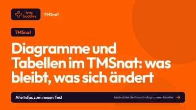 TMSnat Diagramme und Tabellen: Aufgaben, Zeiten und Strategien für den Untertest