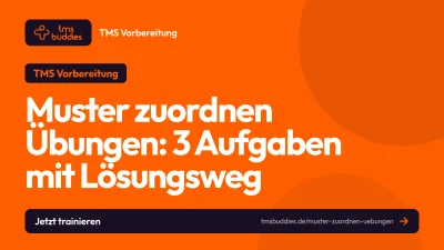 Muster zuordnen Übungen: vier Bildaufgaben im TMS-Format mit Lösungsbild und Lösungsweg
