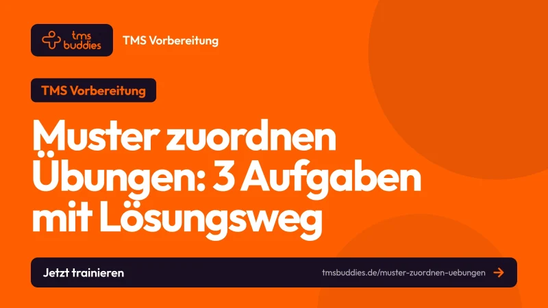 Muster zuordnen Übungen: vier Bildaufgaben im TMS-Format mit Lösungsbild und Lösungsweg