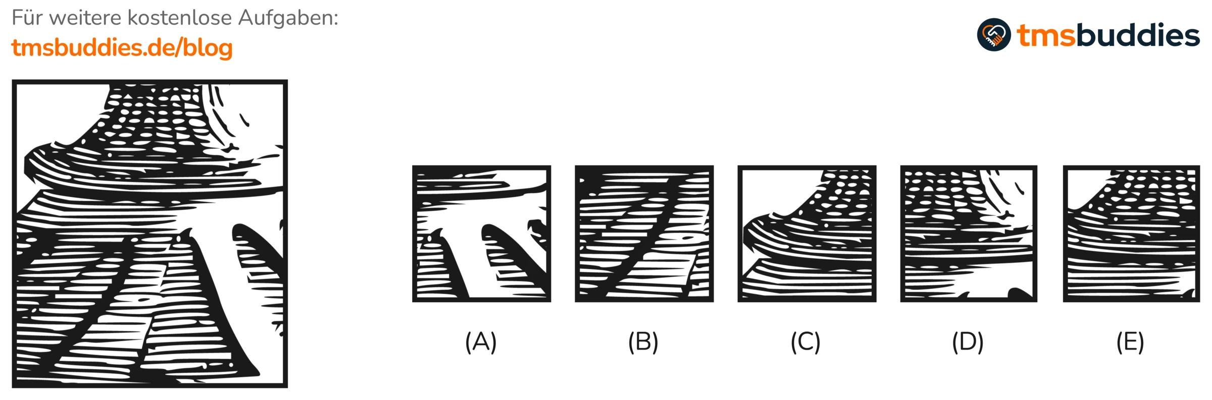 Muster zuordnen Übung 1: Vorlage mit gestreifter Struktur und fünf Ausschnitte A bis E im TMS-Format
